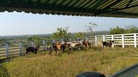 Finca de 500 Hectáreas en San Martín Meta