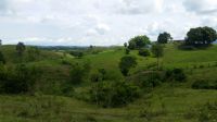 Finca de 73 Hectáreas en Puerto Boyacá